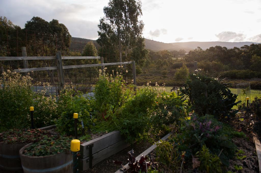 Boroka Downs Villa Halls Gap Exterior photo
