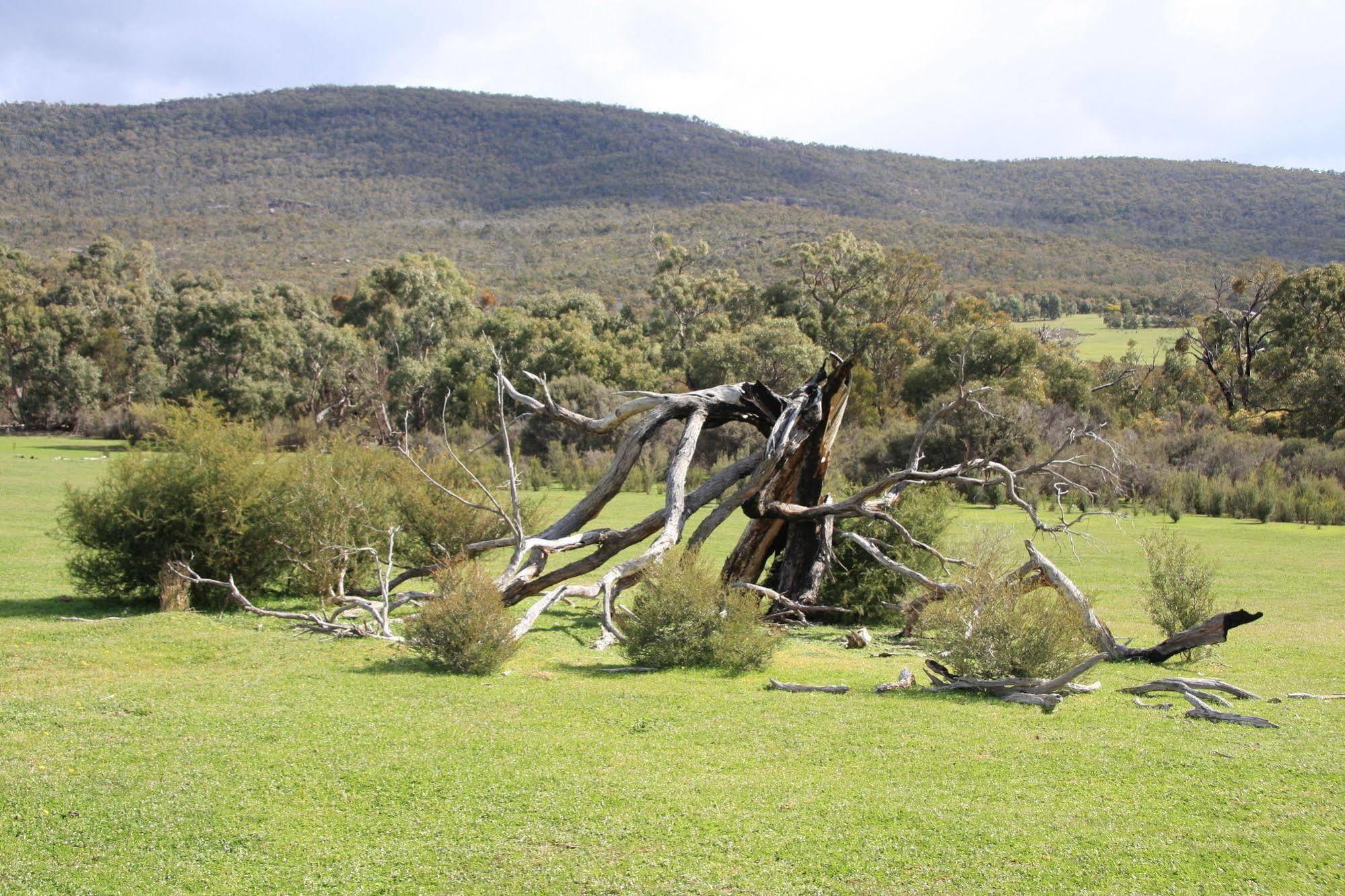 Boroka Downs Villa Halls Gap Exterior photo