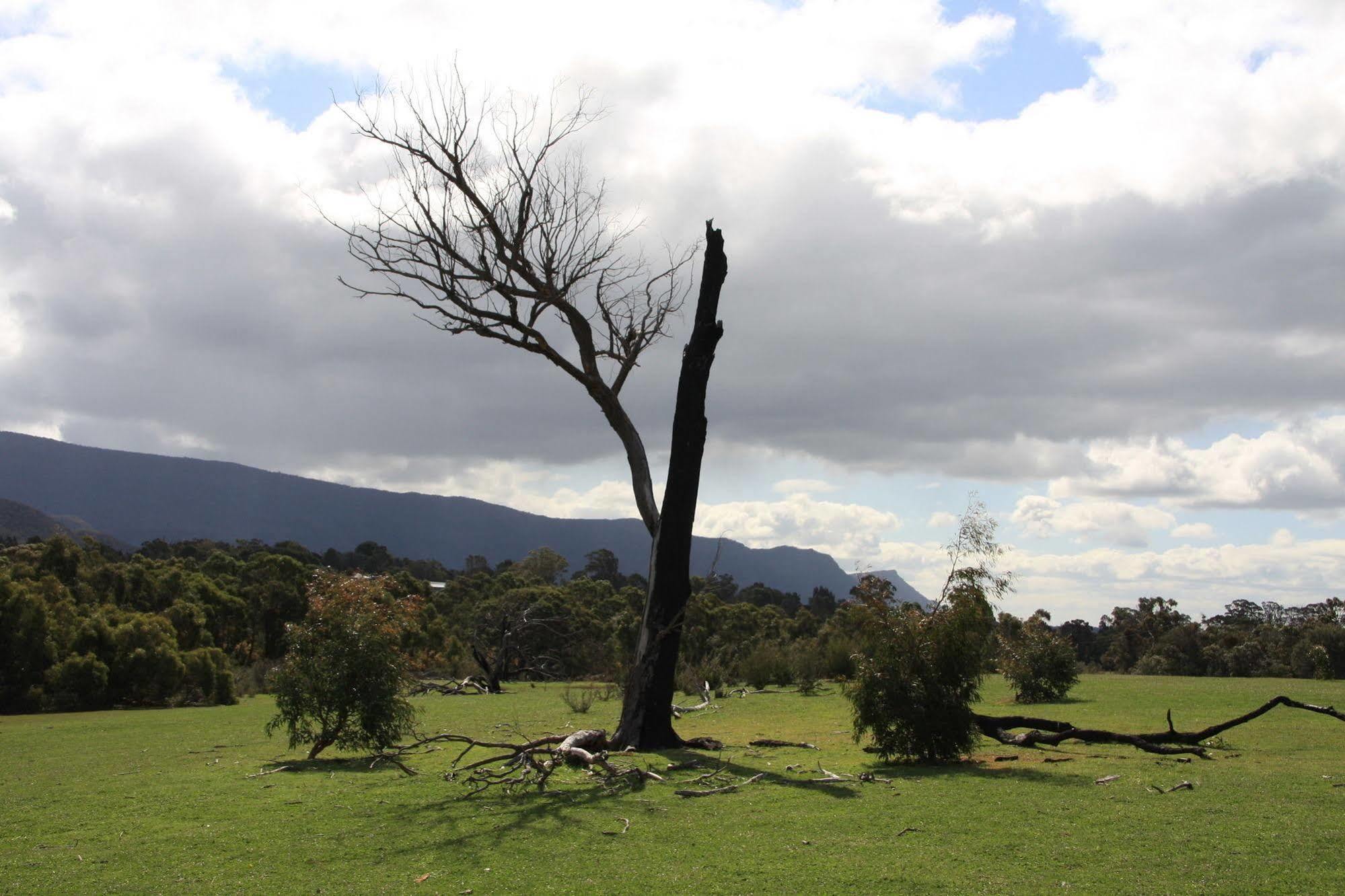 Boroka Downs Villa Halls Gap Exterior photo