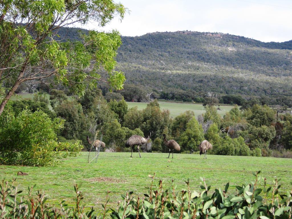Boroka Downs Villa Halls Gap Exterior photo