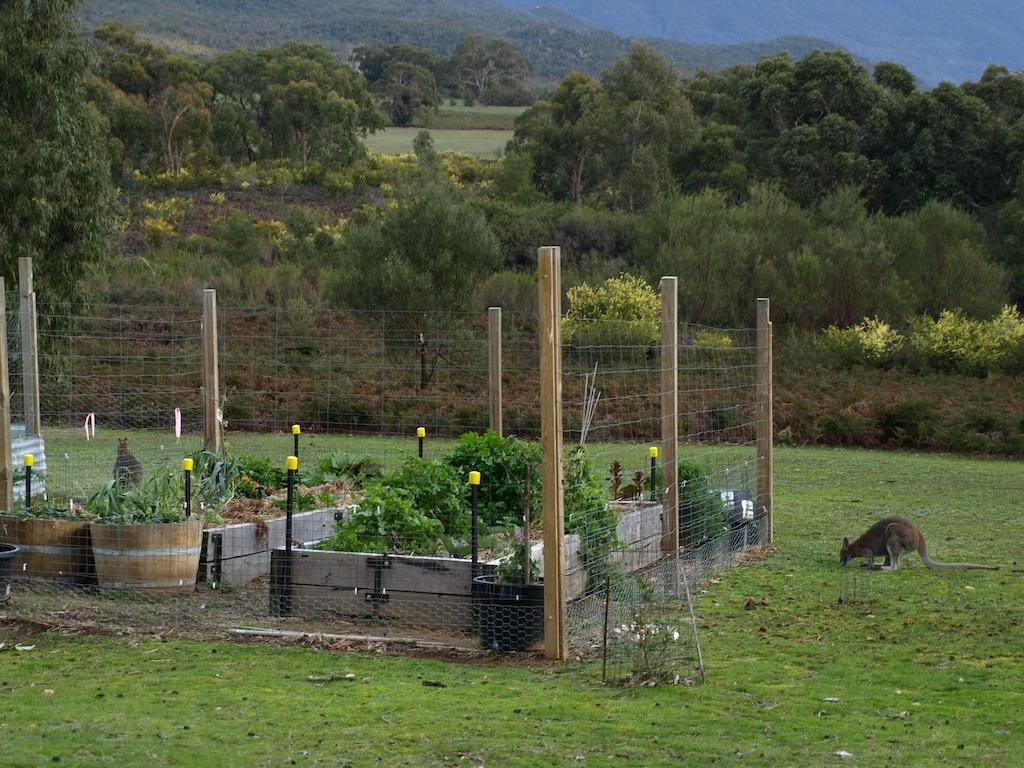 Boroka Downs Villa Halls Gap Exterior photo
